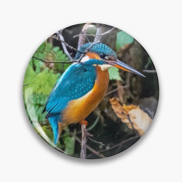 Item preview, Perching Kingfisher designed and sold by George Kelsey.