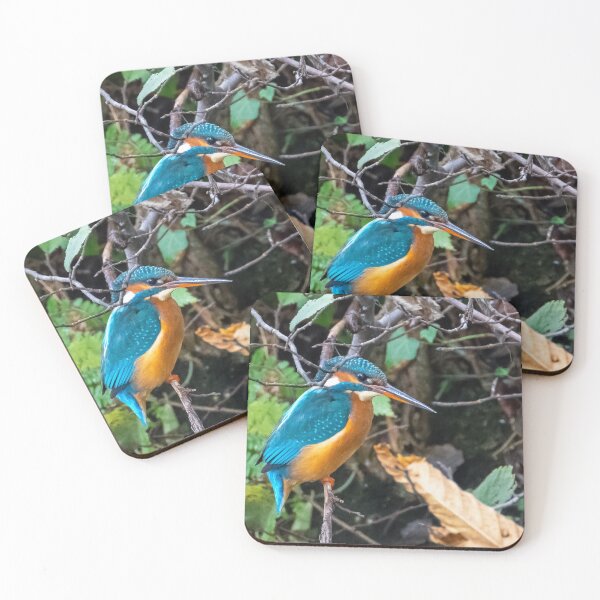 Item preview, Perching Kingfisher designed and sold by George Kelsey.