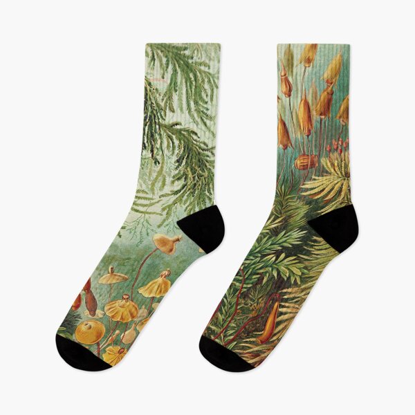 Item preview, Mosses and Mushrooms by naturalist Haeckel designed and sold by LeAllureVintage.