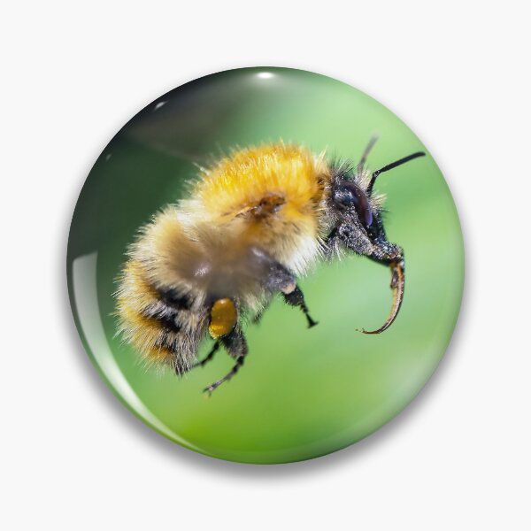 Item preview, Hovering bee designed and sold by George Kelsey.