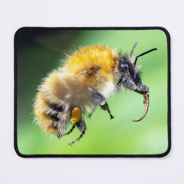 Item preview, Hovering bee designed and sold by George Kelsey.