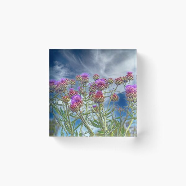 Item preview, Thistles in a Scottish Sky designed and sold by George Kelsey.