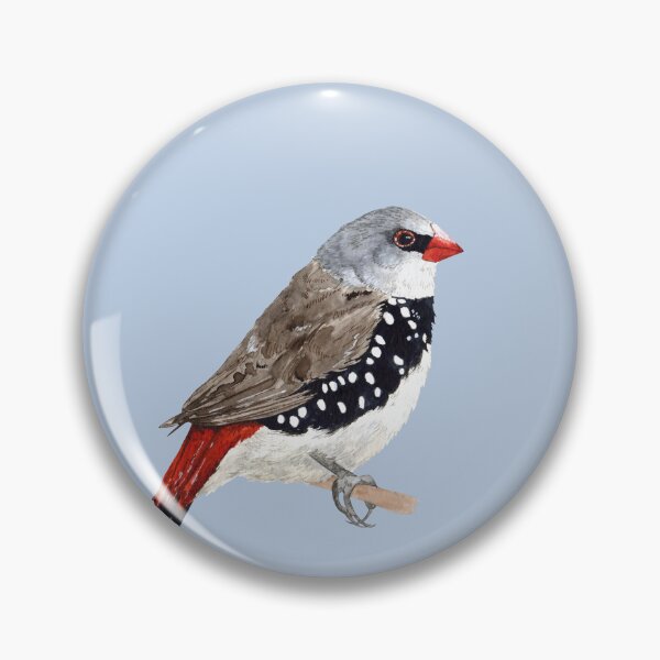 Item preview, DIAMOND FIRETAIL-Stagonopleura guttata designed and sold by BEATRIZ ABAITUA.