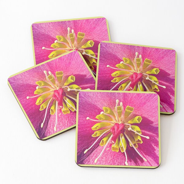 Item preview, Helleborus closeup designed and sold by angel1.