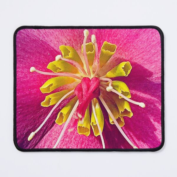 Item preview, Helleborus closeup designed and sold by angel1.