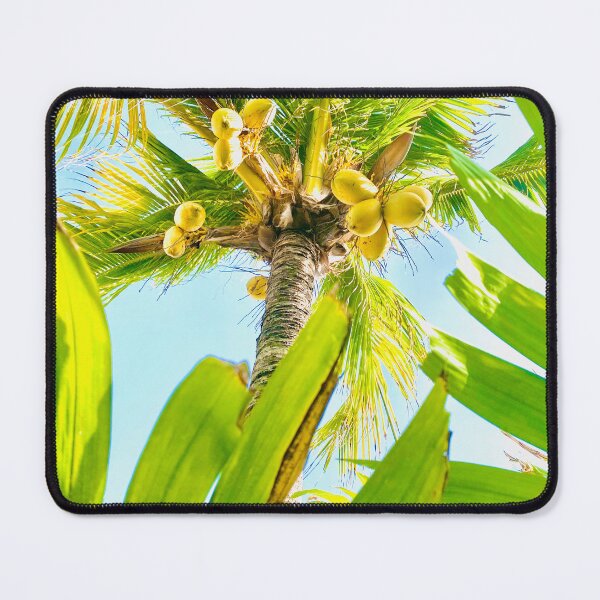Item preview, Coconut Tree designed and sold by Nicholas Ward.