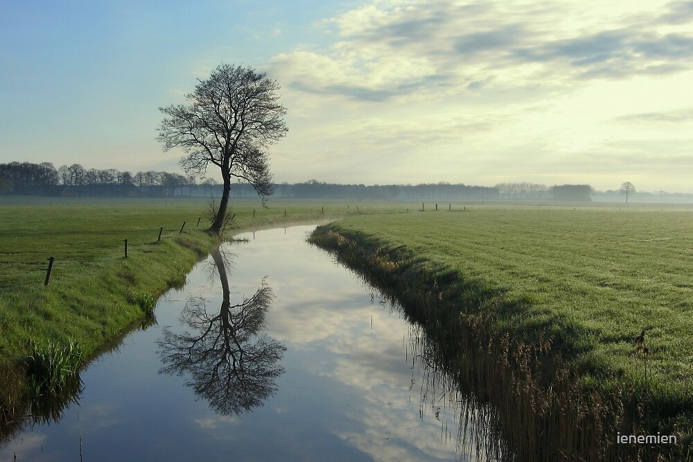 "Tree by the Stream" by ienemien | Redbubble