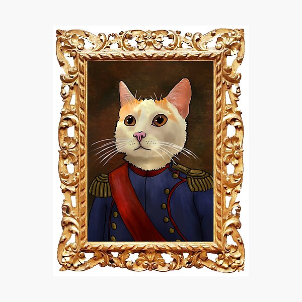 Napoleon Cat Photographic Print