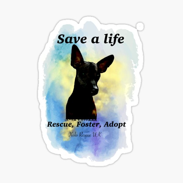 Item preview, Adopta un color Xolo designed and sold by Xolo-Rescue.