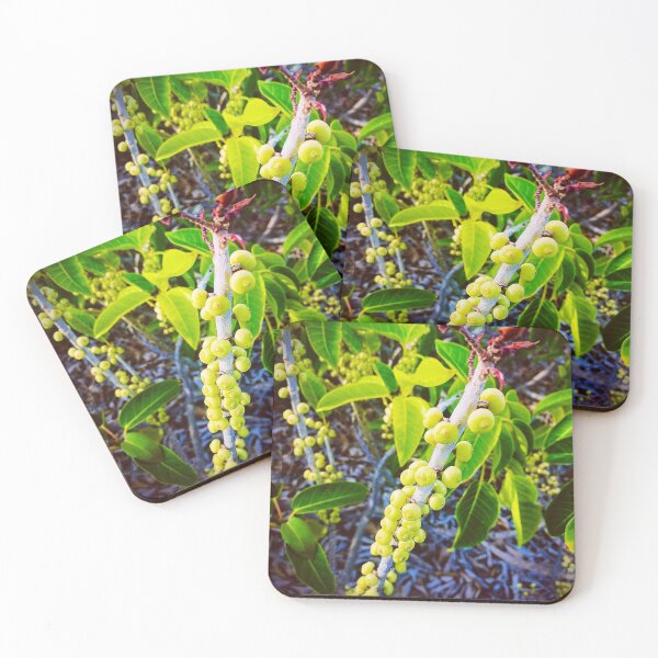 Item preview, Seagrapes designed and sold by Nicholas  Ward.