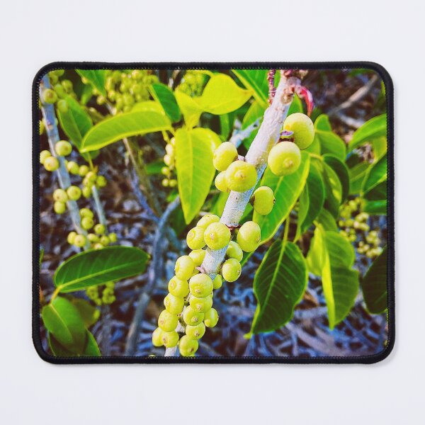 Item preview, Seagrapes designed and sold by Nicholas Ward.