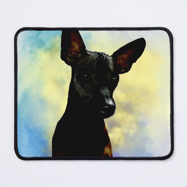 Item preview, Adopt a Xolo colour designed and sold by Xolo-Rescue.