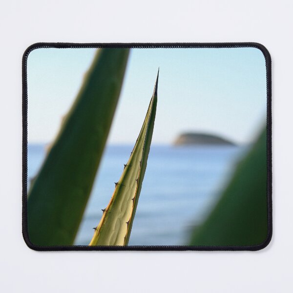 Item preview, Agave cactus with sea view // Ibiza Nature & Travel Photography  designed and sold by Diana van Neck.