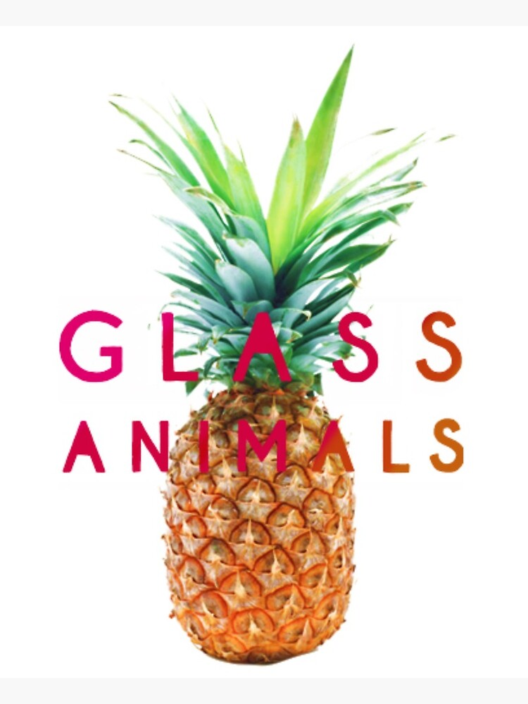 "Glass Animals Pineapple Design" Art Print by sailorkaleb Redbubble