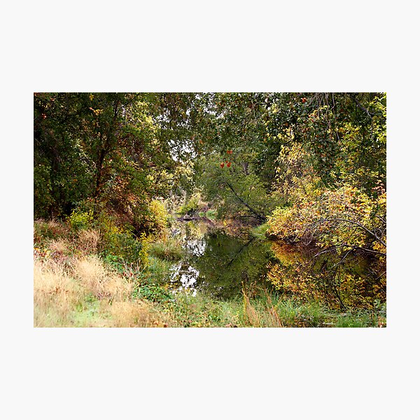 Reflected waters Photographic Print