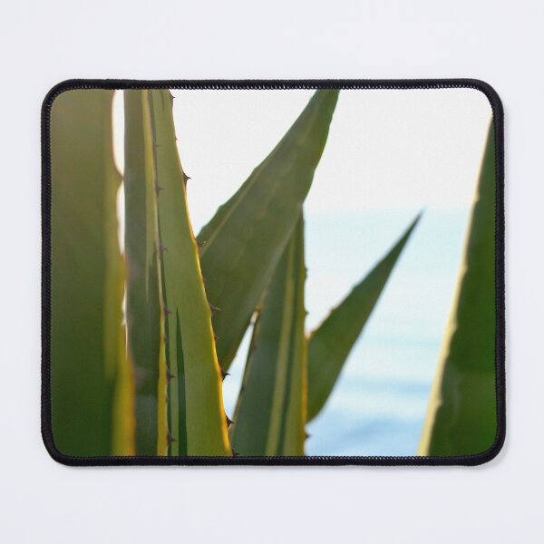 Item preview, Agave cactus with blue sea / Ibiza Nature & Travel Photography designed and sold by Diana van Neck.