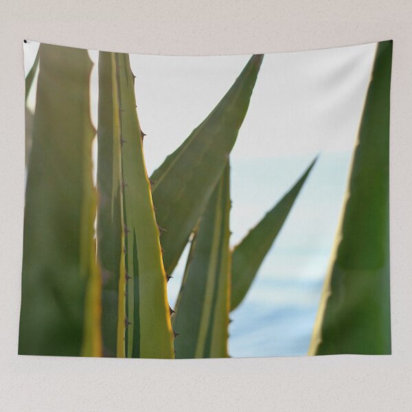 Item preview, Agave cactus with blue sea / Ibiza Nature & Travel Photography  designed and sold by Diana van Neck.