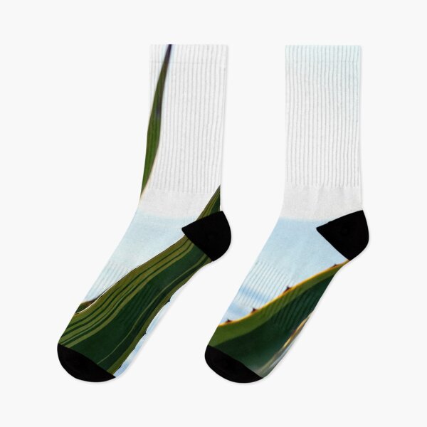 Item preview, Agave cactus and the blue sea / Ibiza Nature & Travel Photography  designed and sold by Diana van Neck.