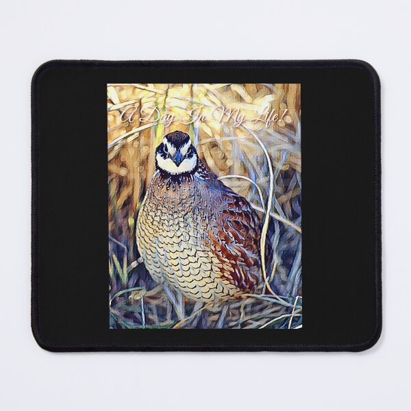 Item preview, "A Day In My Life!"\Quail\Art Work designed and sold by 22special.