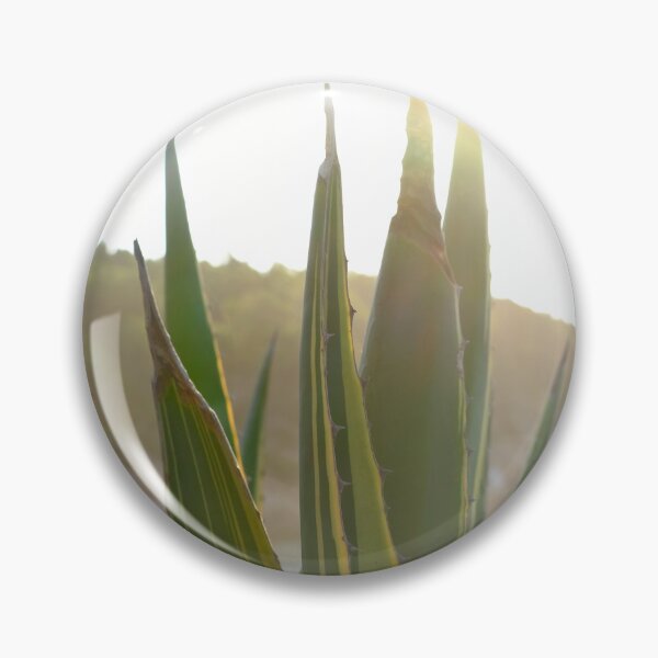 Item preview, Agave cactus at sunset / Ibiza Nature & Travel Photography  designed and sold by Diana van Neck.