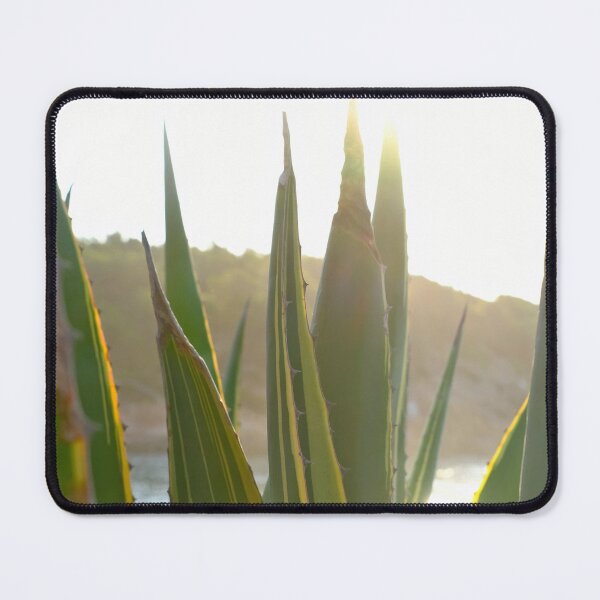 Item preview, Agave cactus at sunset / Ibiza Nature & Travel Photography  designed and sold by Diana van Neck.