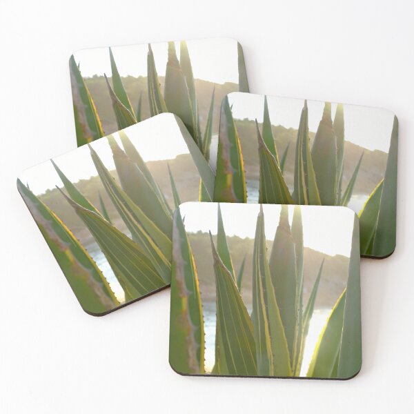 Item preview, Agave cactus at sunset / Ibiza Nature & Travel Photography designed and sold by Diana van Neck.