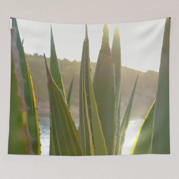Item preview, Agave cactus at sunset / Ibiza Nature & Travel Photography  designed and sold by Diana van Neck.
