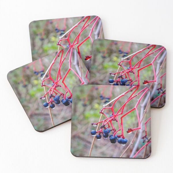 Item preview, Dogwood Berries 2 designed and sold by Robert Alsop.
