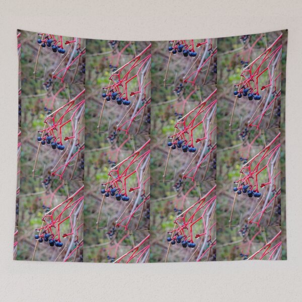 Item preview, Dogwood Berries 2 designed and sold by Robert Alsop.