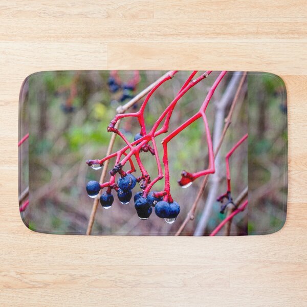 Item preview, Dogwood Berries 2 designed and sold by Robert Alsop.