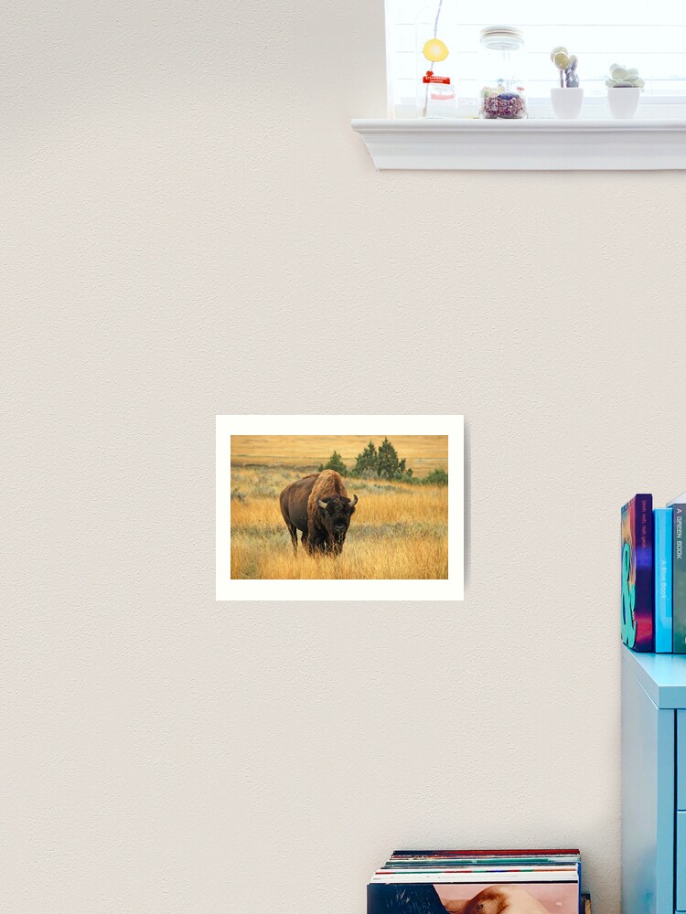Art Print, Buffalo at TRNP designed and sold by Jerry Walter