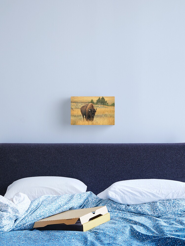 Thumbnail 1 of 3, Canvas Print, Buffalo at TRNP designed and sold by Jerry Walter.