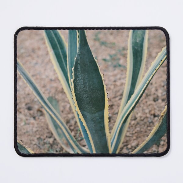 Item preview, Agave cactus in the red sand / Ibiza Nature & Travel Photography  designed and sold by Diana van Neck.