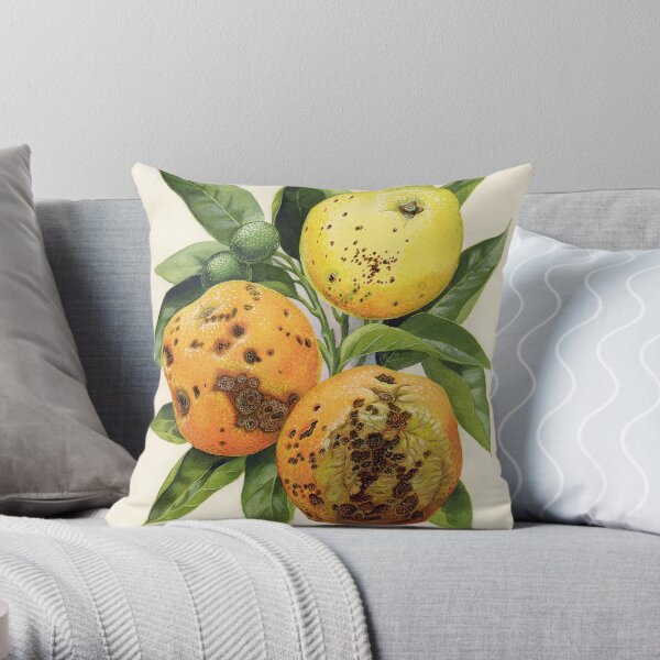 Citrus black spot on oranges - Guignardia citricarpa Throw Pillow