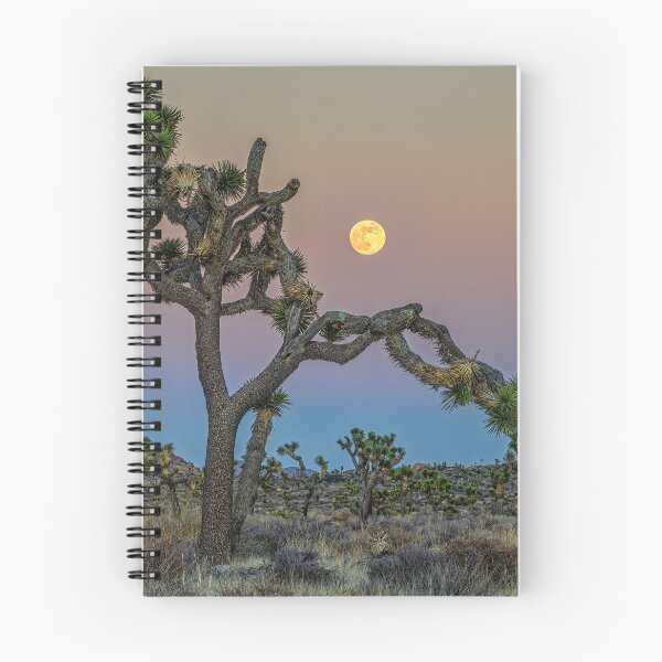 Item preview, Joshua Tree Moonrise designed and sold by Charles Dobbs Photography.