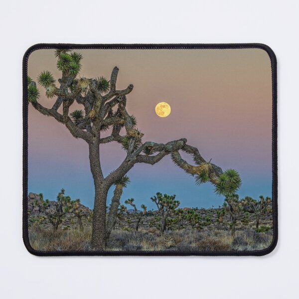 Item preview, Joshua Tree Moonrise designed and sold by Charles Dobbs Photography.