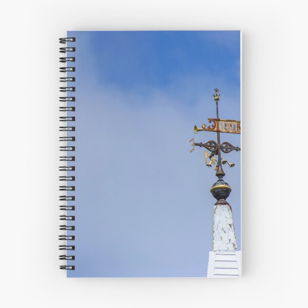 Item preview, 1891 Weather Vane designed and sold by Alanafinephoto.