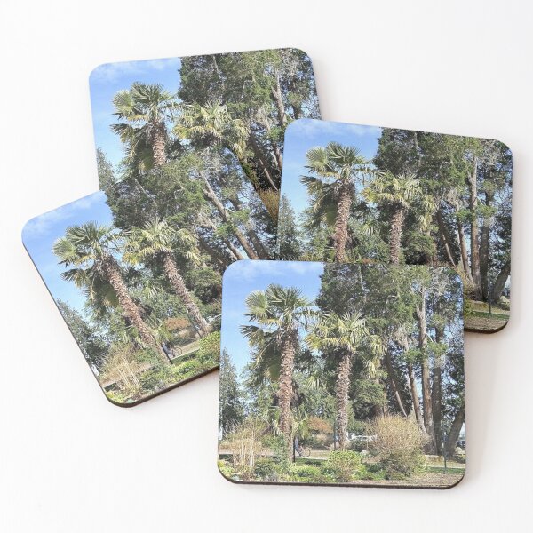 Item preview, Palm Trees At Pt. Defiance Park Tacoma Washington designed and sold by oceanlady65.