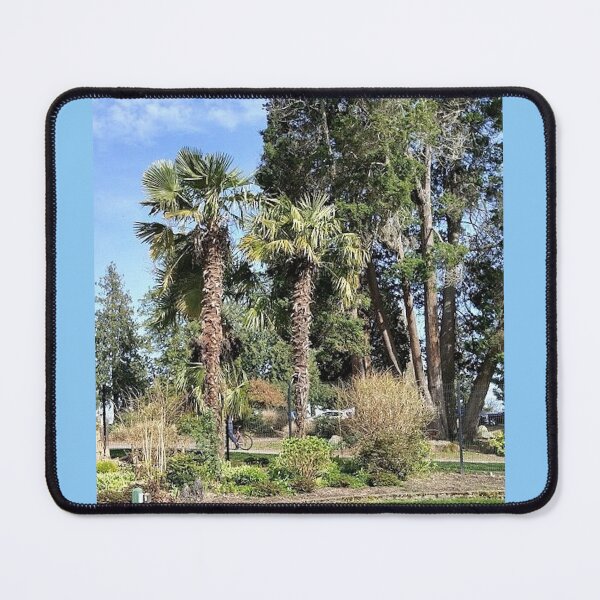 Item preview, Palm Trees At Pt. Defiance Park Tacoma Washington designed and sold by oceanlady65.