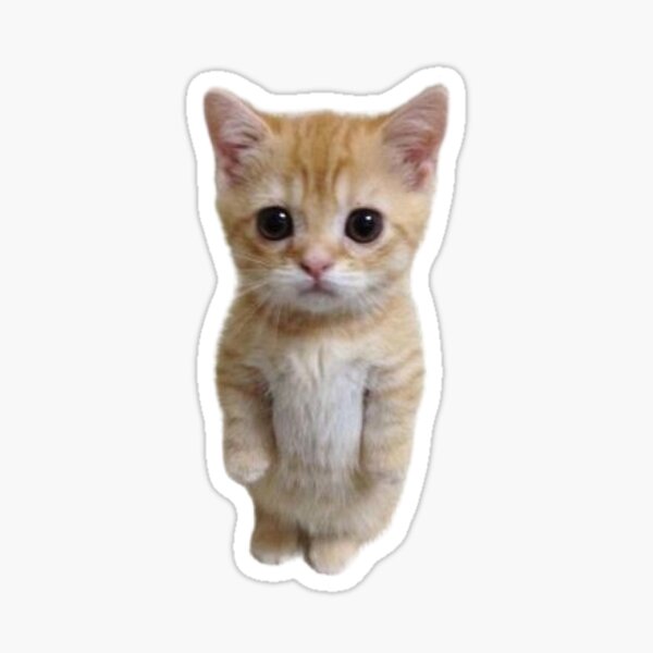 Stickers de gato kawai