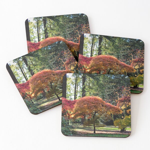 Item preview, Autumn Palette designed and sold by Viv Thompson Photography .