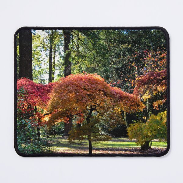 Item preview, Autumn Palette designed and sold by Viv Thompson Photography .
