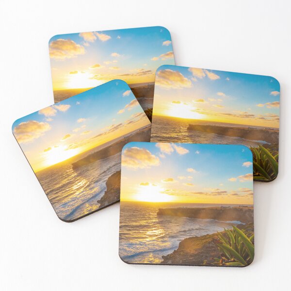 Item preview, Sunlight on Cacti designed and sold by Nicholas  Ward.