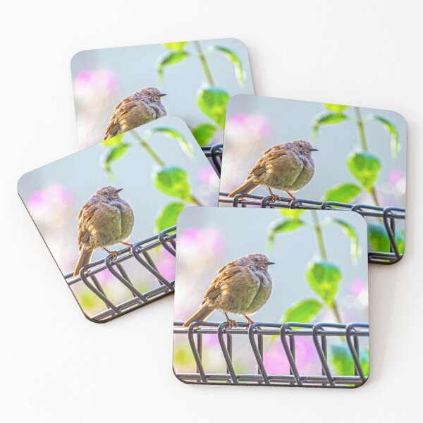 Item preview, Puffed up Dunnock designed and sold by George Kelsey.