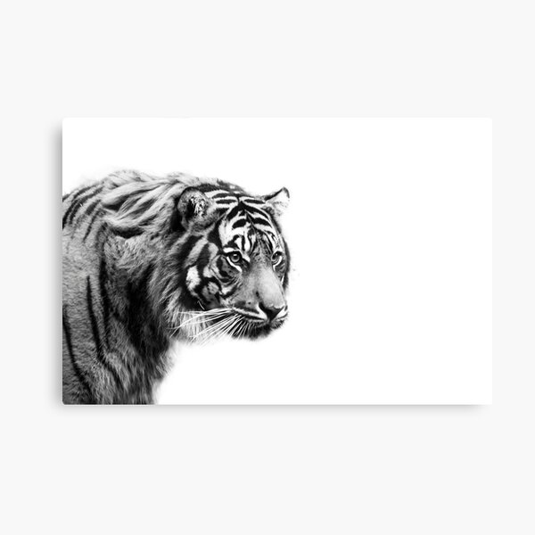 Item preview, Black and White Tiger designed and sold by PenguinPlot.