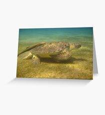 Sea Turtle Greeting Card