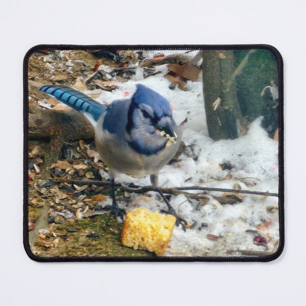 Item preview, Hungry Blue Jay Snacking on Cornbread designed and sold by SXW Designs.