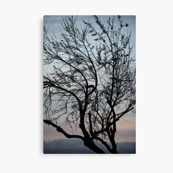 Aperçu de l'œuvre ARBRE  créée et vendue par WapiNami.