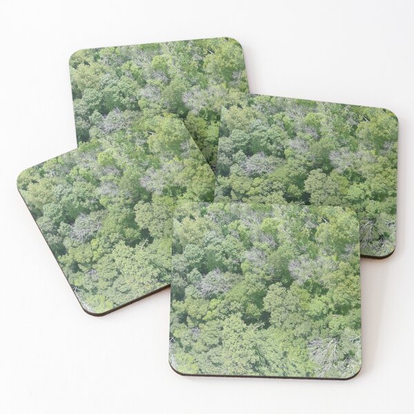 Item preview, "real camo" aerial drone shot of a forest of trees (12k quality) designed and sold by train-shop.