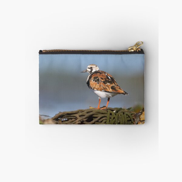 Item preview, Ruddy Turnstone - Port MacDonnell, South Australia - March 2017 designed and sold by Rob Drummond.